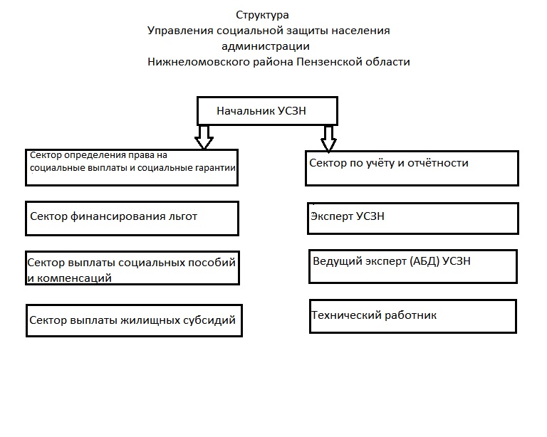 Структура организации